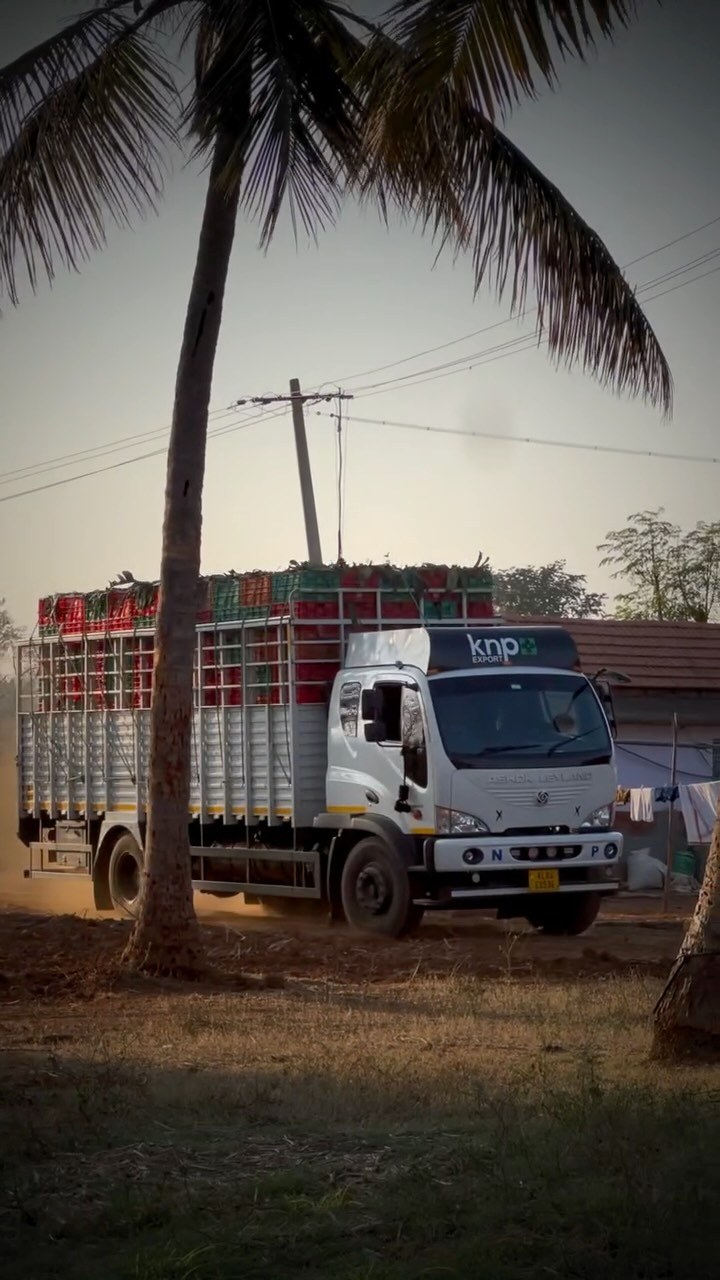 KNP truck loading fresh produce at the farm